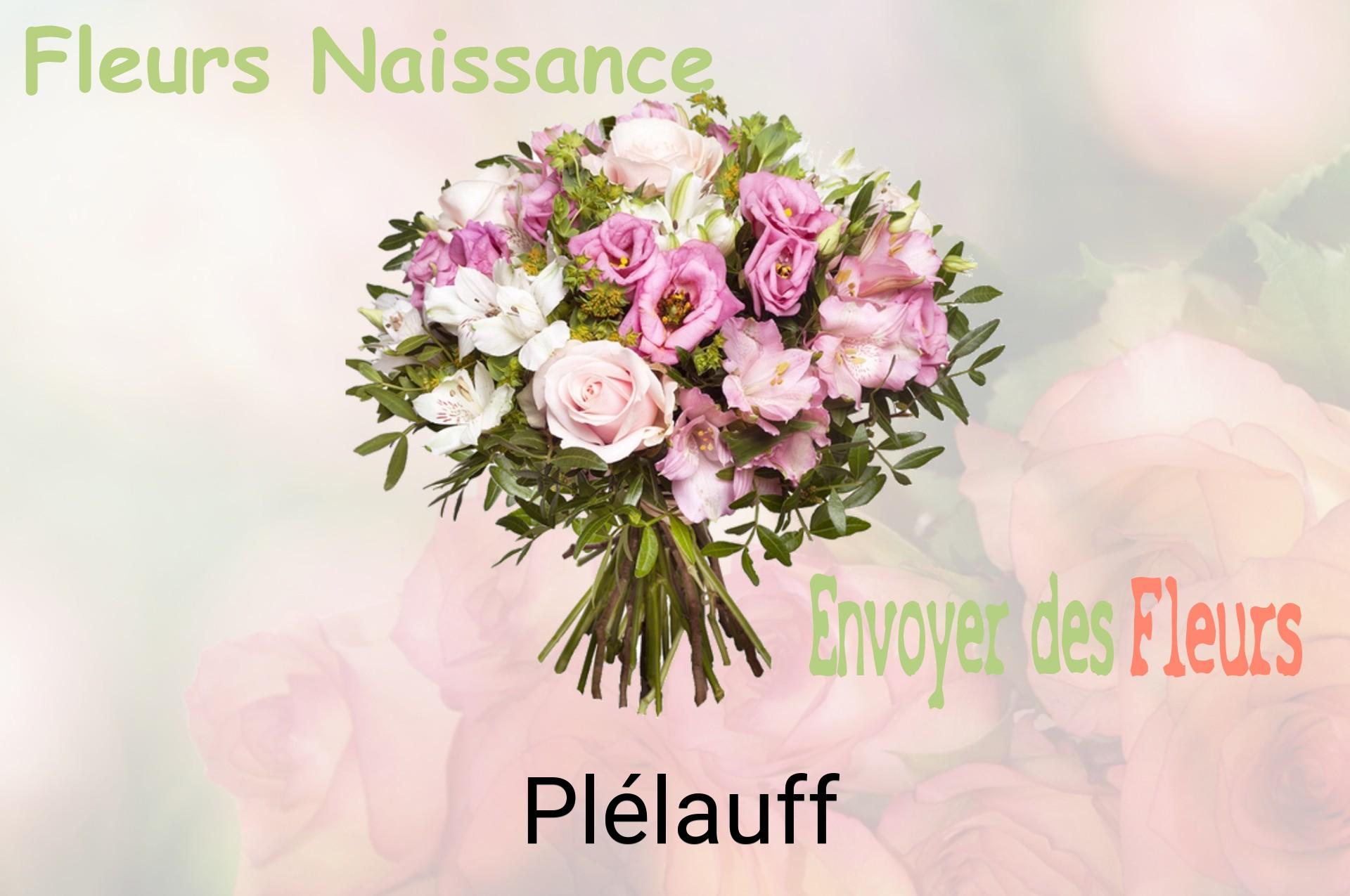Bouquet de fleurs de naissance livré à Plélauff